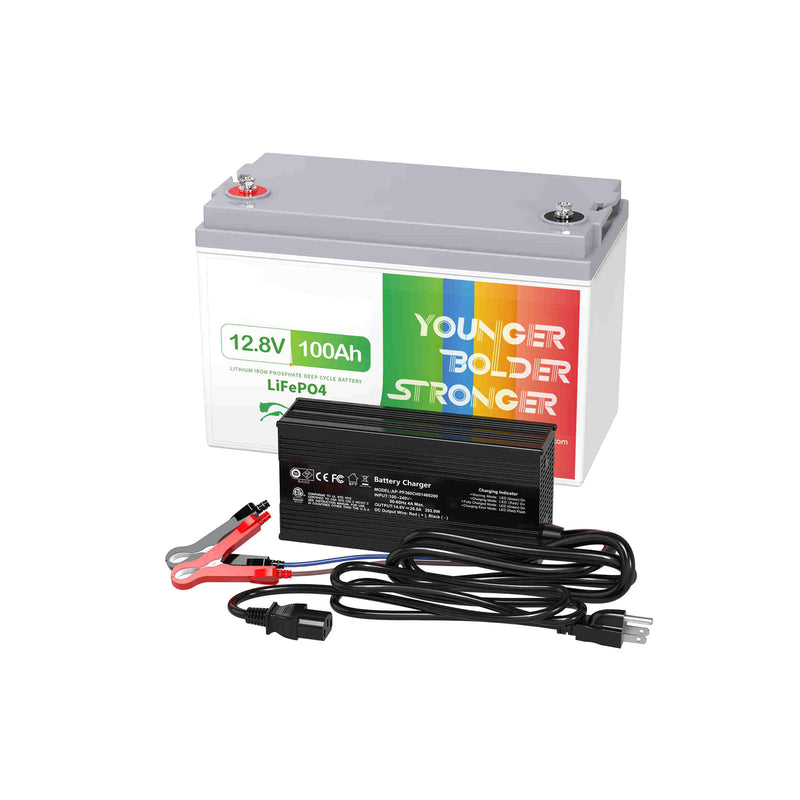 Leaptrend 12V 100Ah Lithium Iron Phosphate LiFePO4 Deep Cycle Battery –  leaptrend